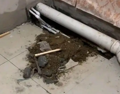 七台河市卫生间漏水检测哪家好