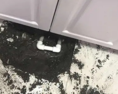 七台河市查漏水哪家好