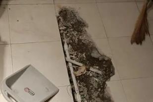 七台河市卫生间漏水检测电话